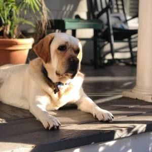 Meet your Posher, Katy